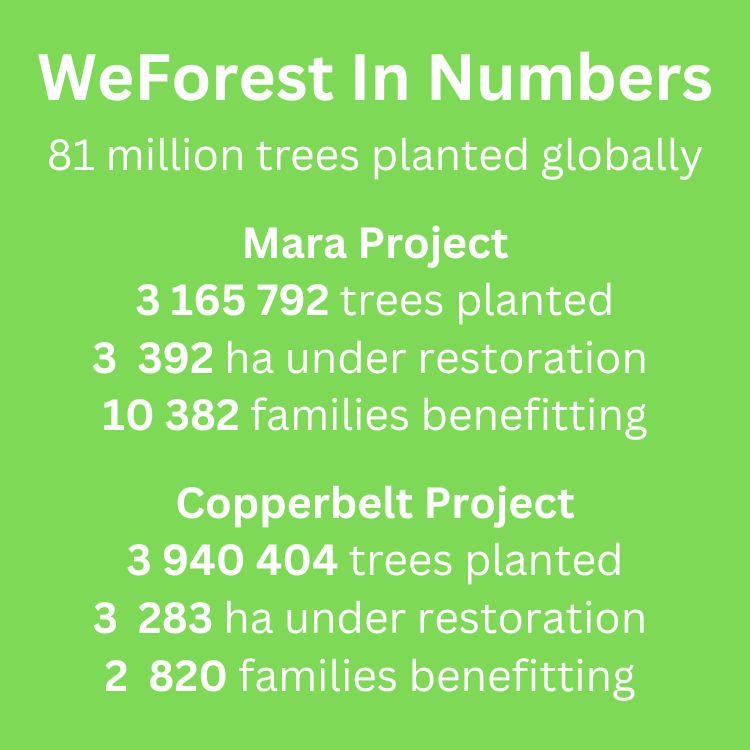 Investing In Our Planet: WeForest & FCI London